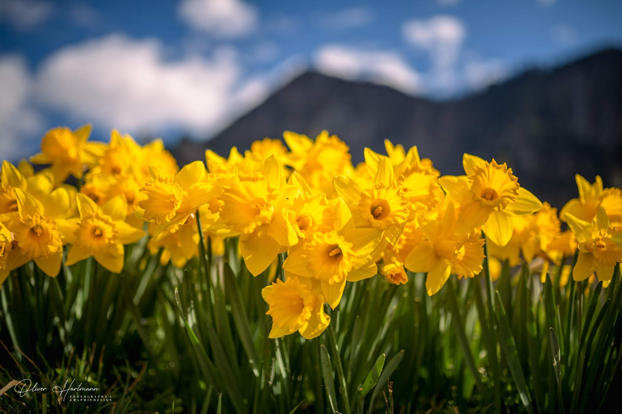 Bild ohne Beschreibung