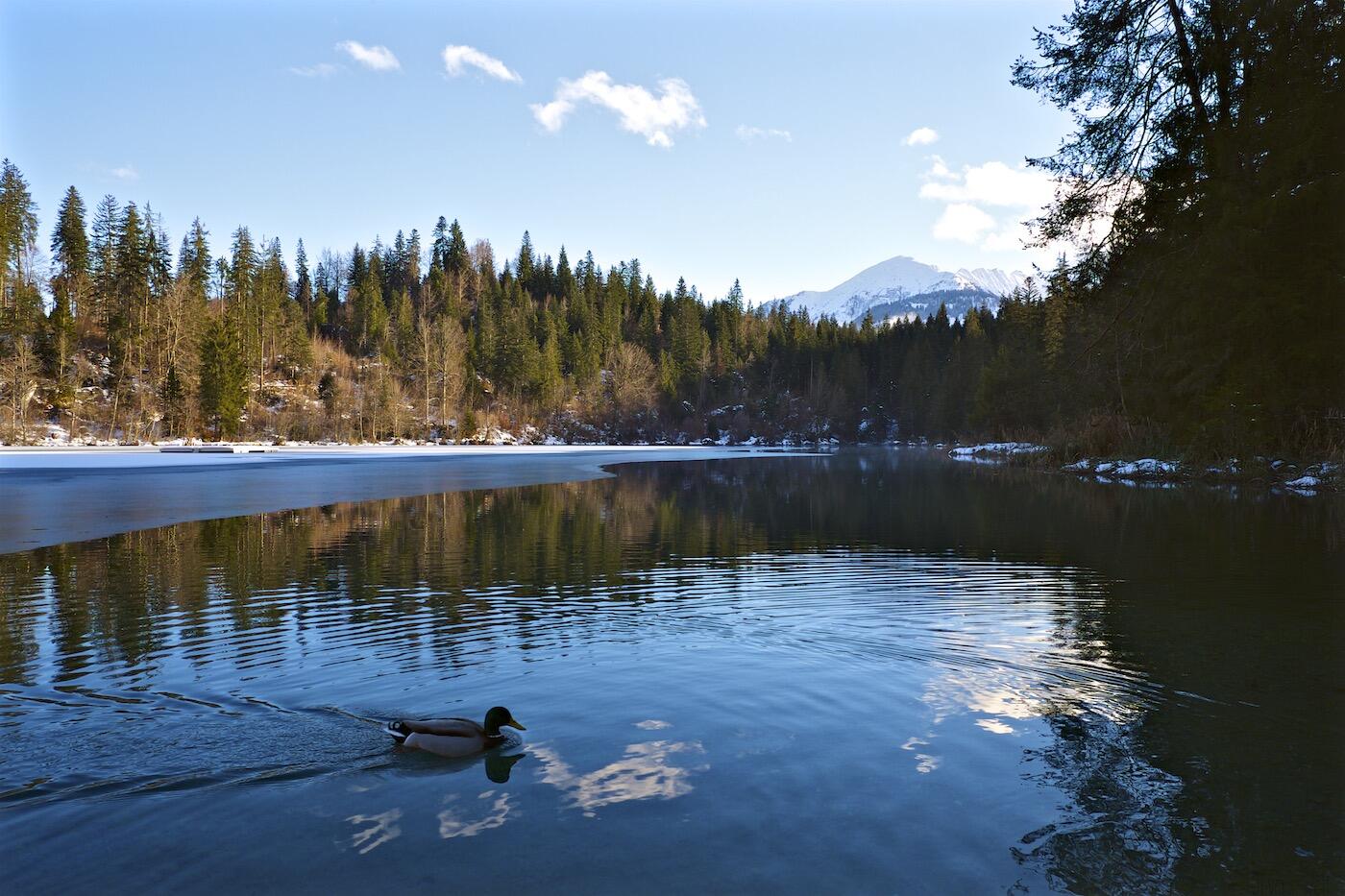 FujiFilm-X-Pro1 10 FujiFilm-X-Pro1 10