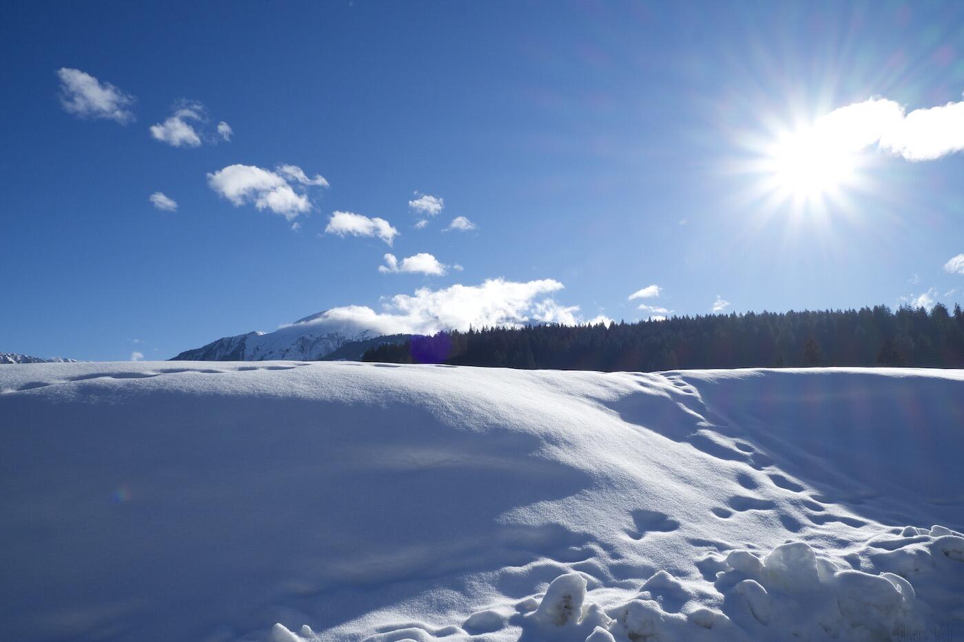 FujiFilm-X-Pro1 3 FujiFilm-X-Pro1 3