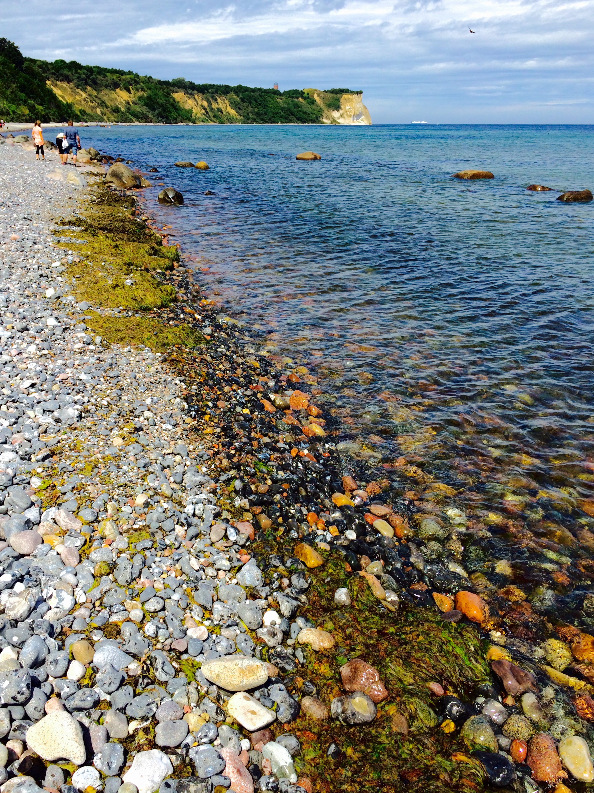 FullSizeRender-1 FullSizeRender-1