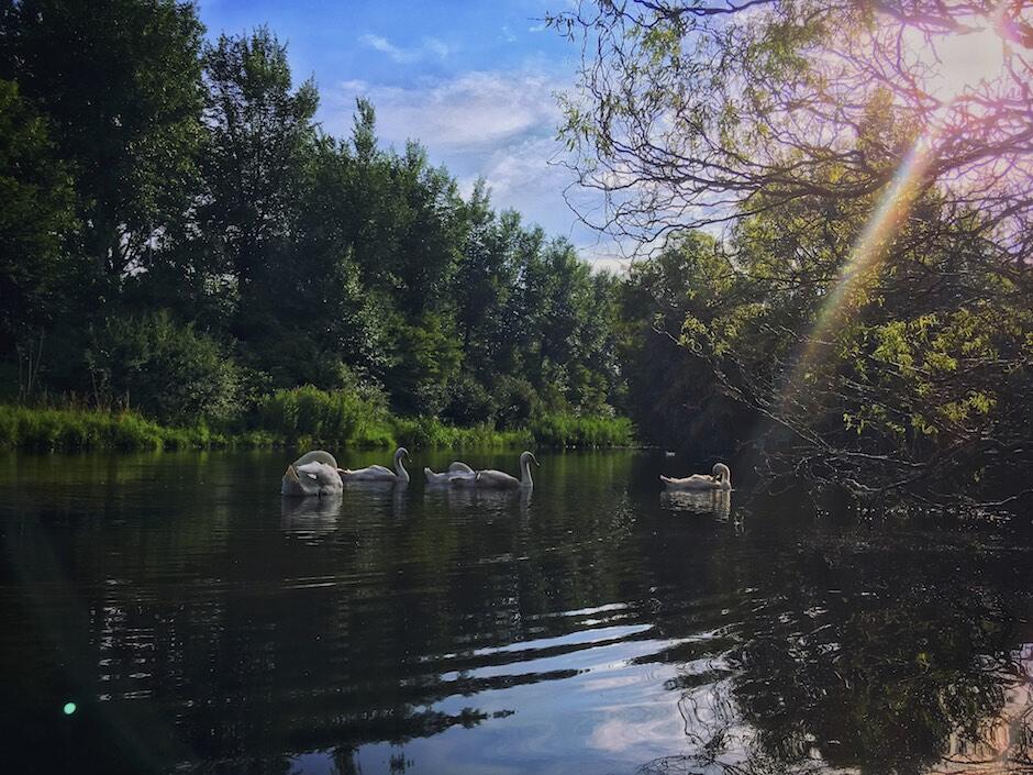 Bild ohne Beschreibung