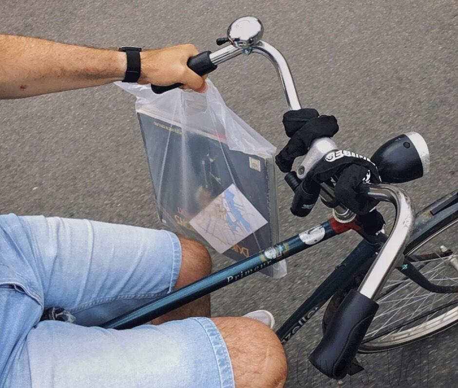 Bild ohne Beschreibung