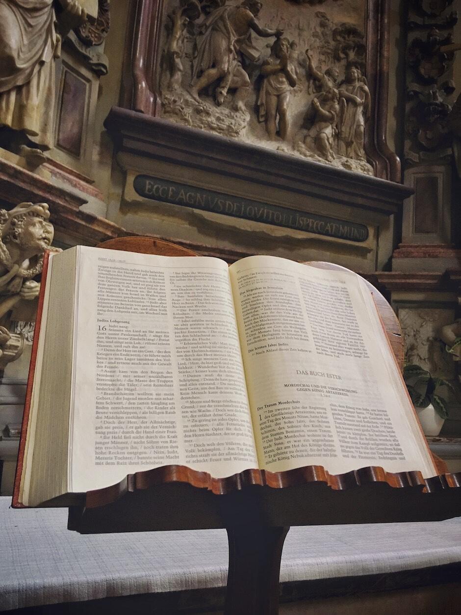 Bild ohne Beschreibung