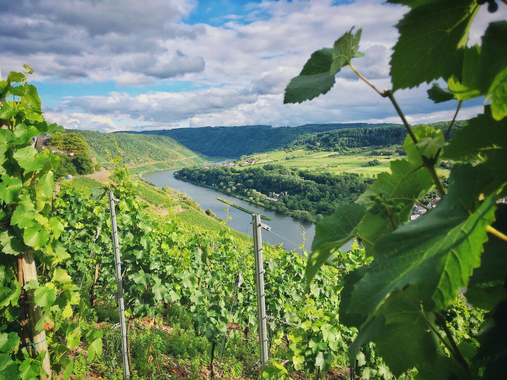 Bild ohne Beschreibung