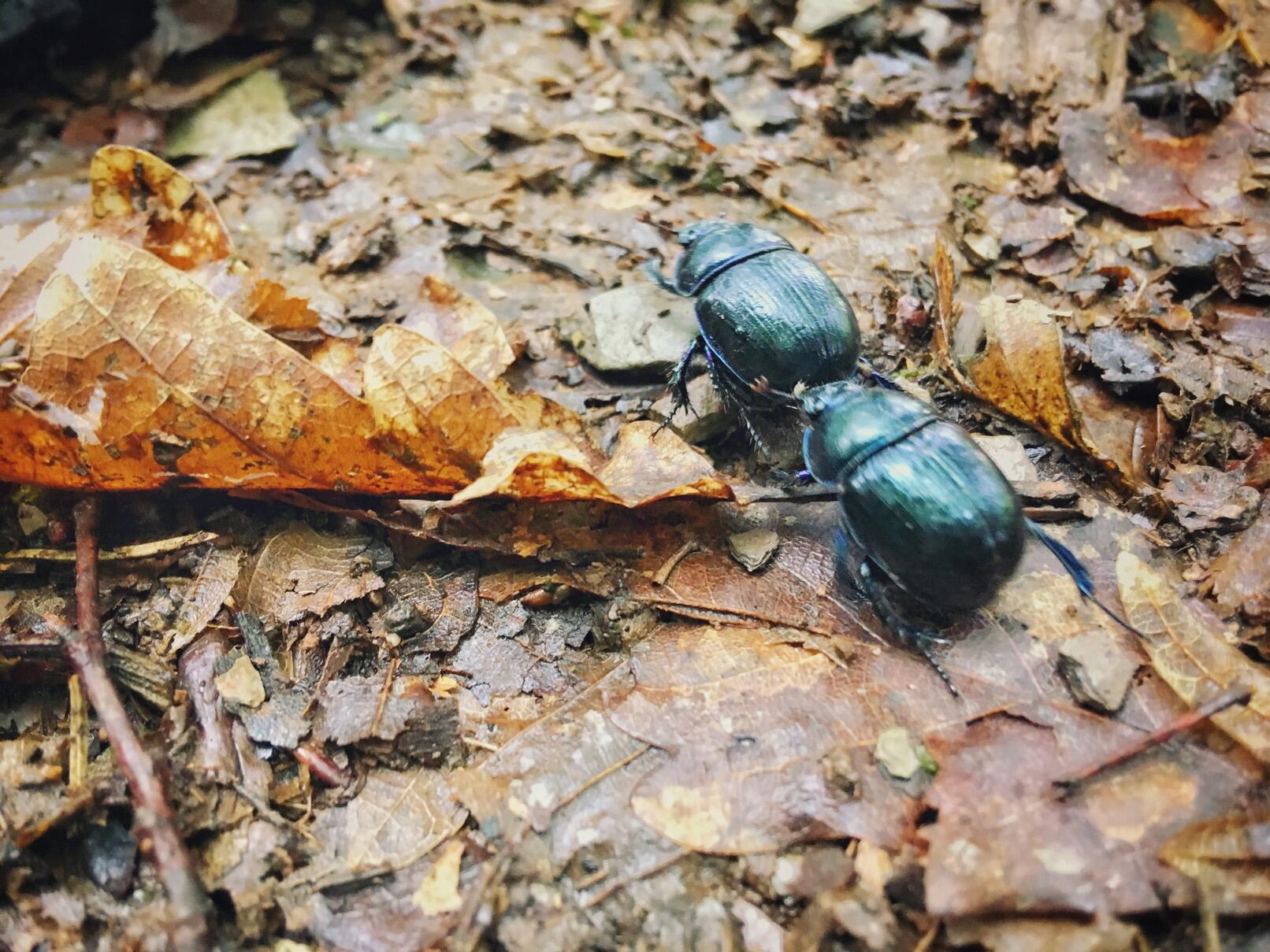 Bild ohne Beschreibung