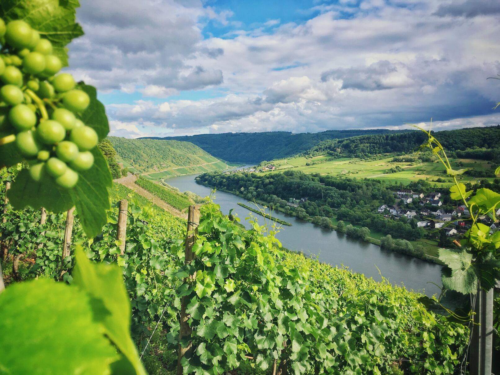 Bild ohne Beschreibung