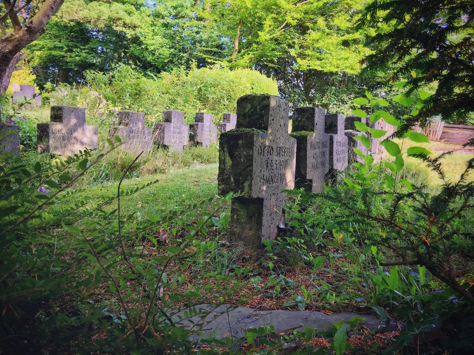 Bild ohne Beschreibung