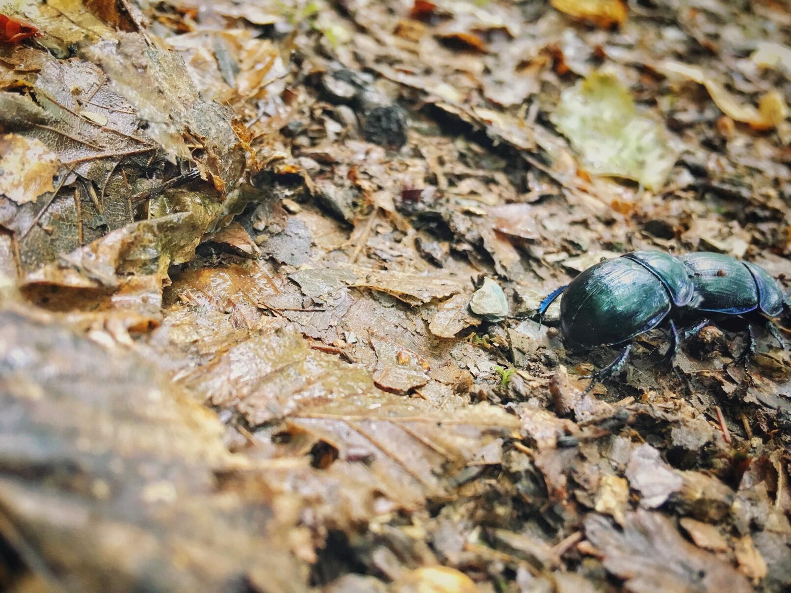 Bild ohne Beschreibung