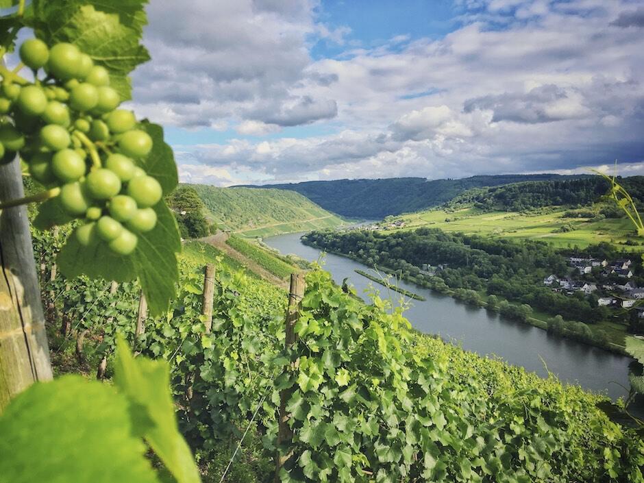 Bild ohne Beschreibung