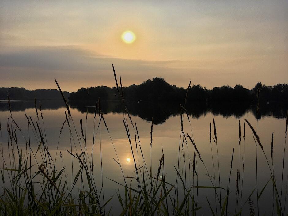 Bild ohne Beschreibung