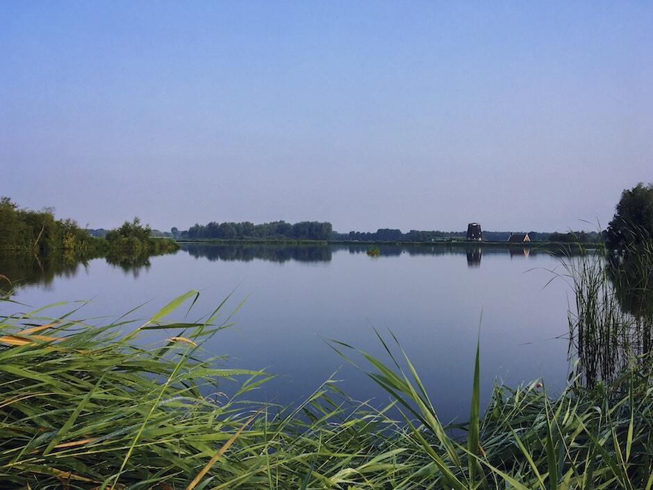 Bild ohne Beschreibung