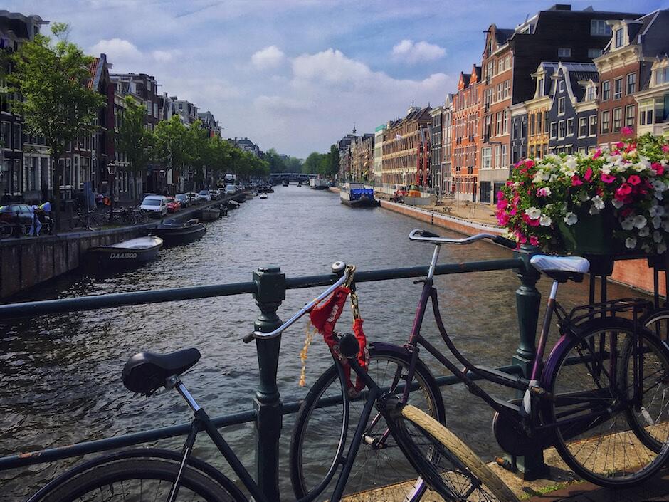 Bild ohne Beschreibung