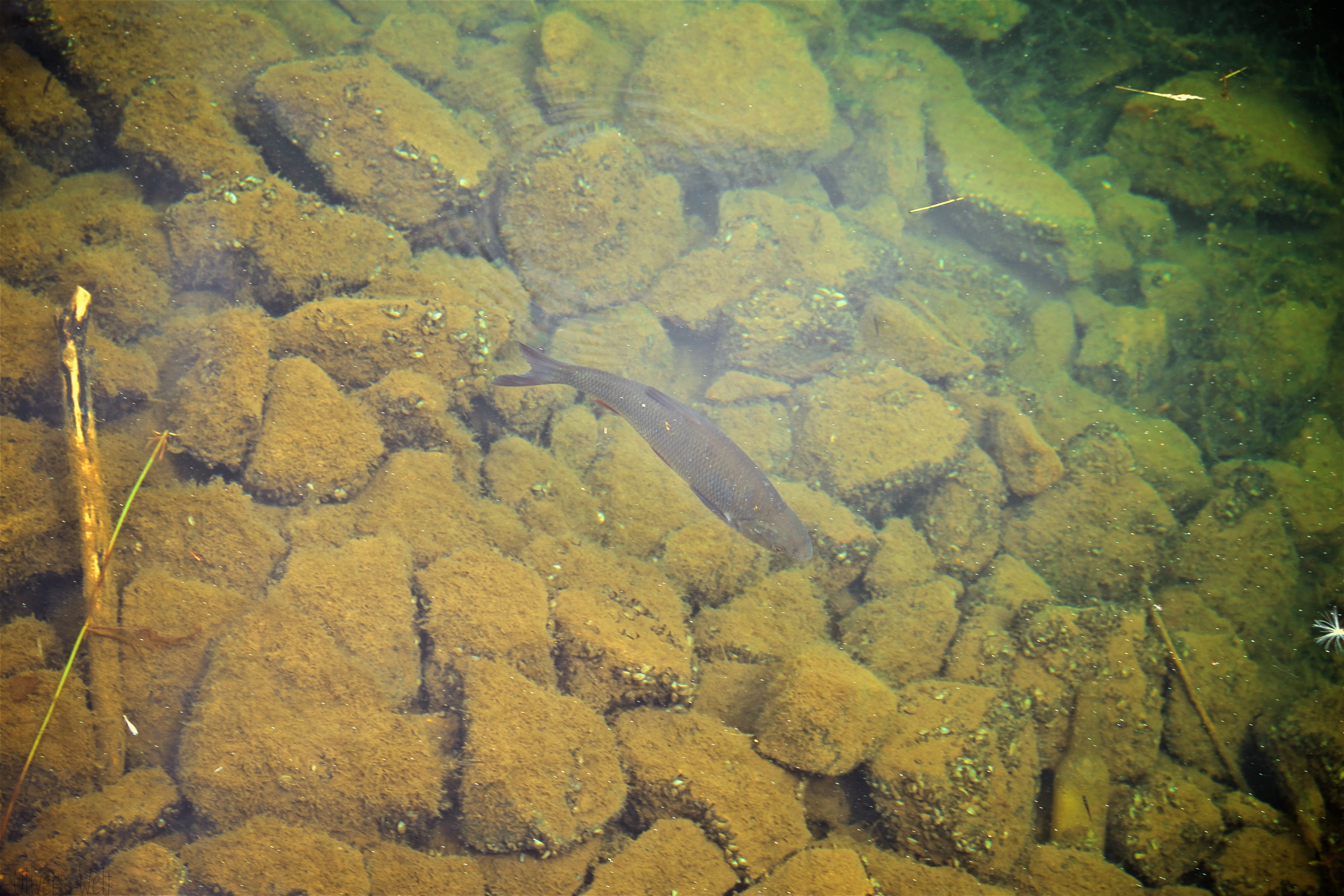 Bild ohne Beschreibung Bild ohne Beschreibung