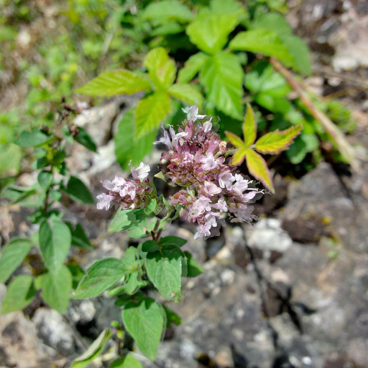 Bild ohne Beschreibung Bild ohne Beschreibung