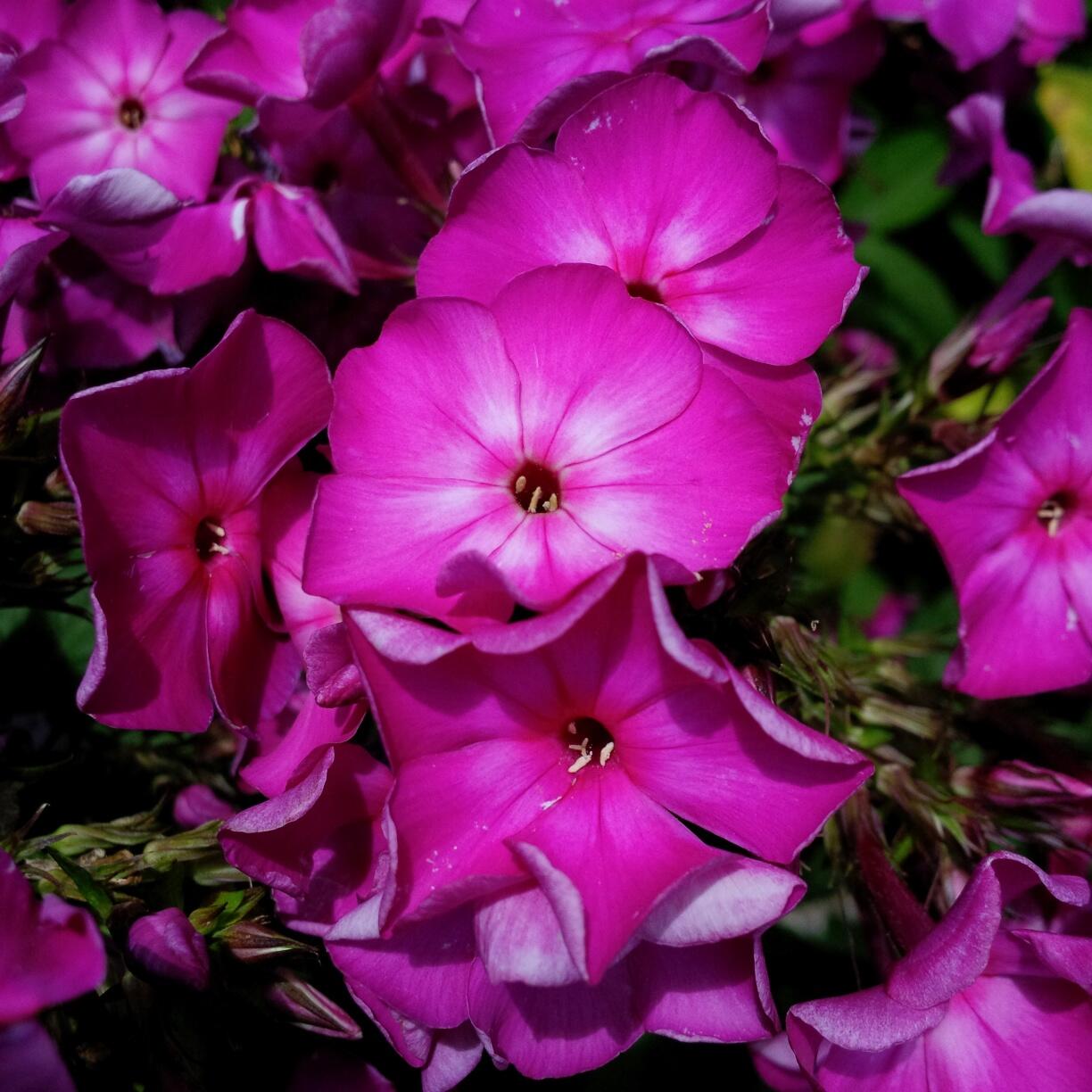 Bild ohne Beschreibung Bild ohne Beschreibung