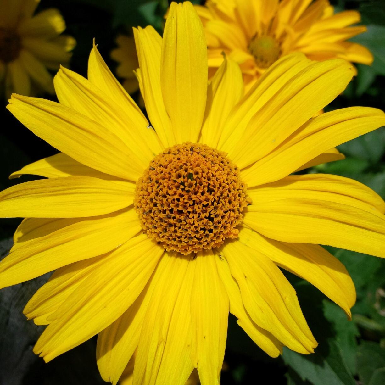 Bild ohne Beschreibung Bild ohne Beschreibung