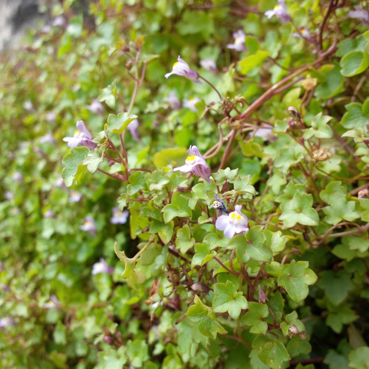 Bild ohne Beschreibung Bild ohne Beschreibung