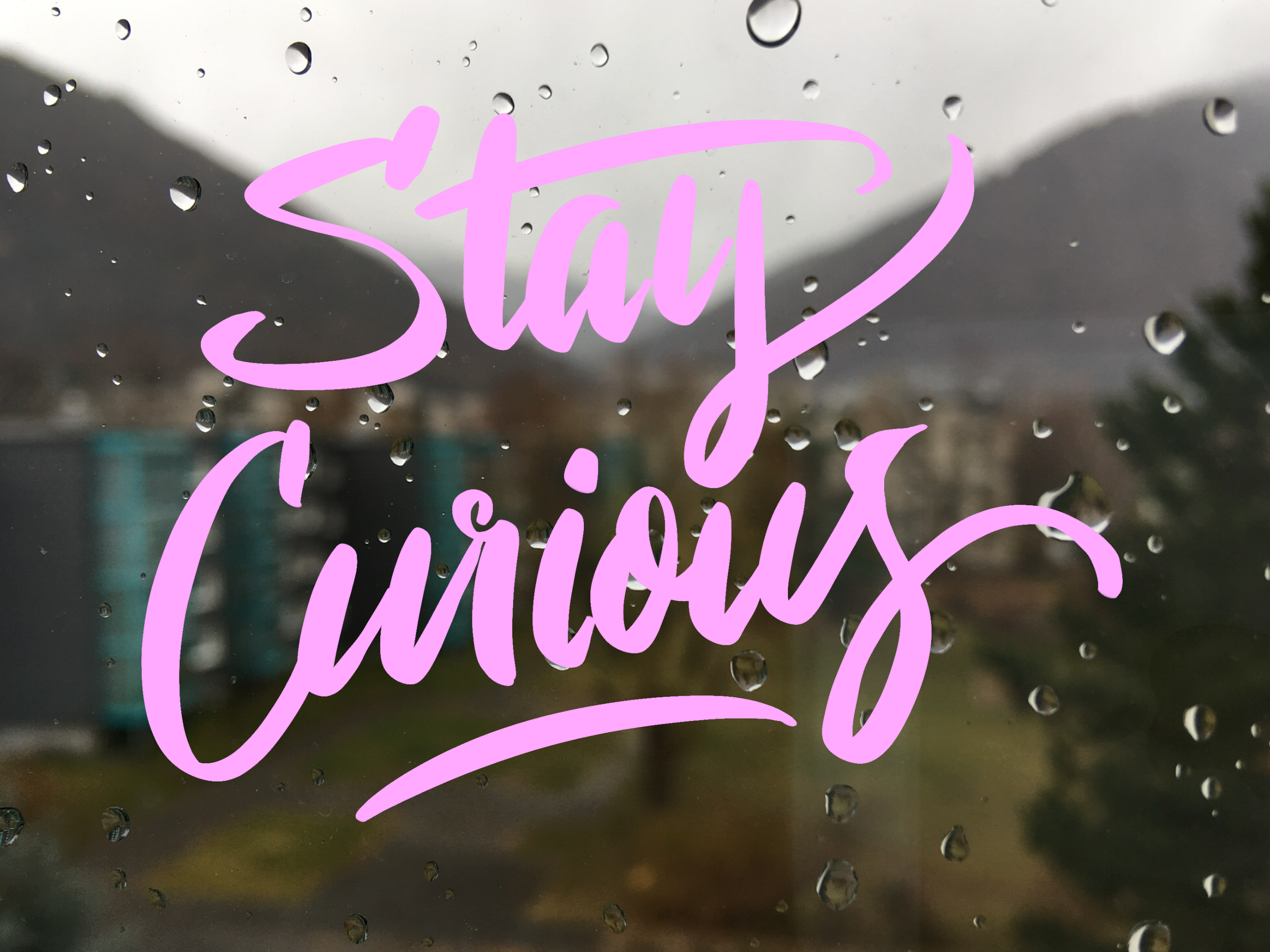 Bild ohne Beschreibung Bild ohne Beschreibung