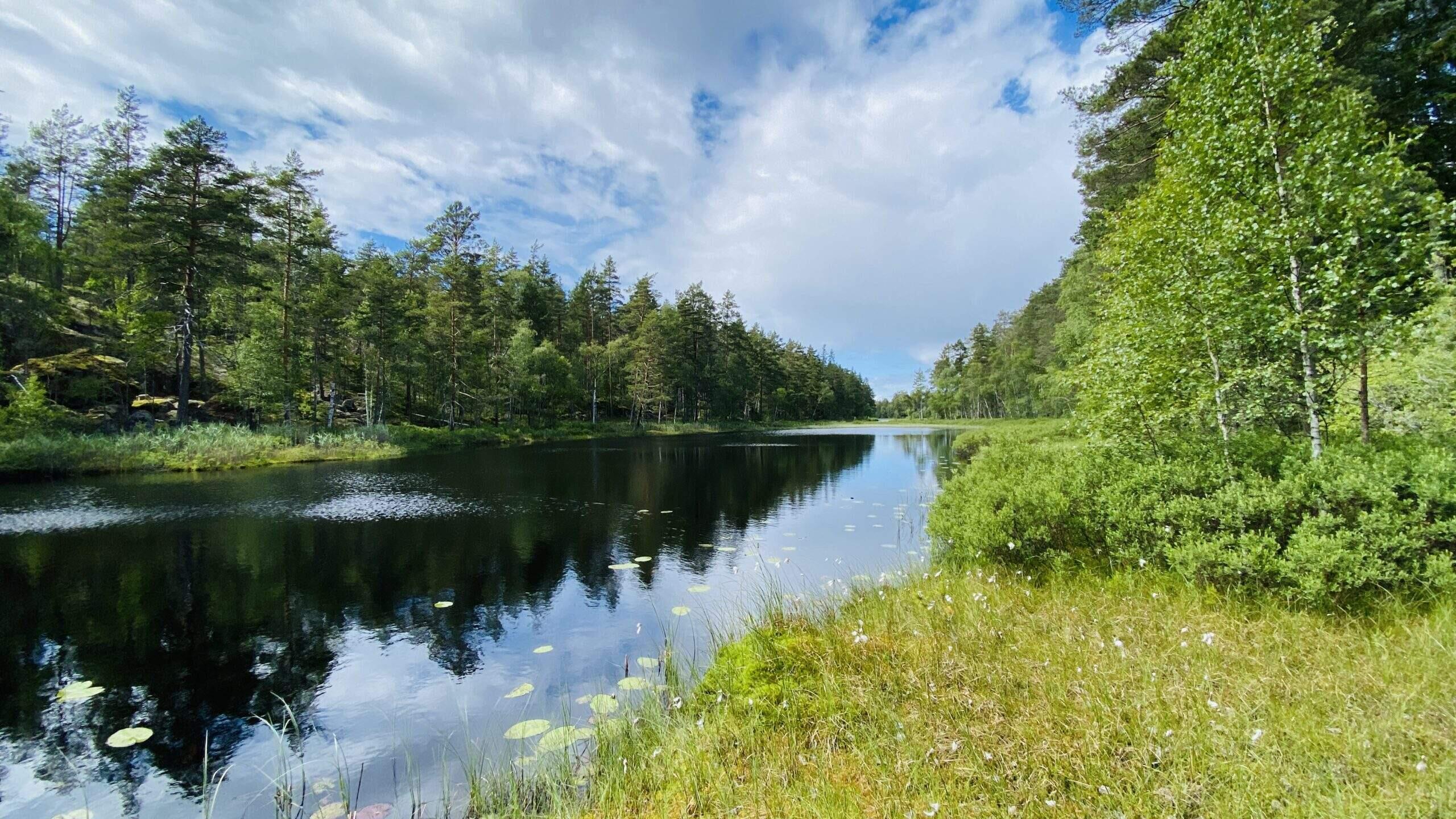 Bild ohne Beschreibung Bild ohne Beschreibung