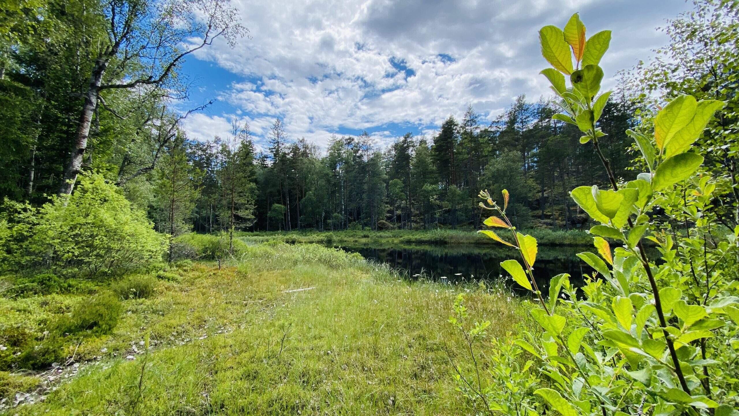 Bild ohne Beschreibung Bild ohne Beschreibung