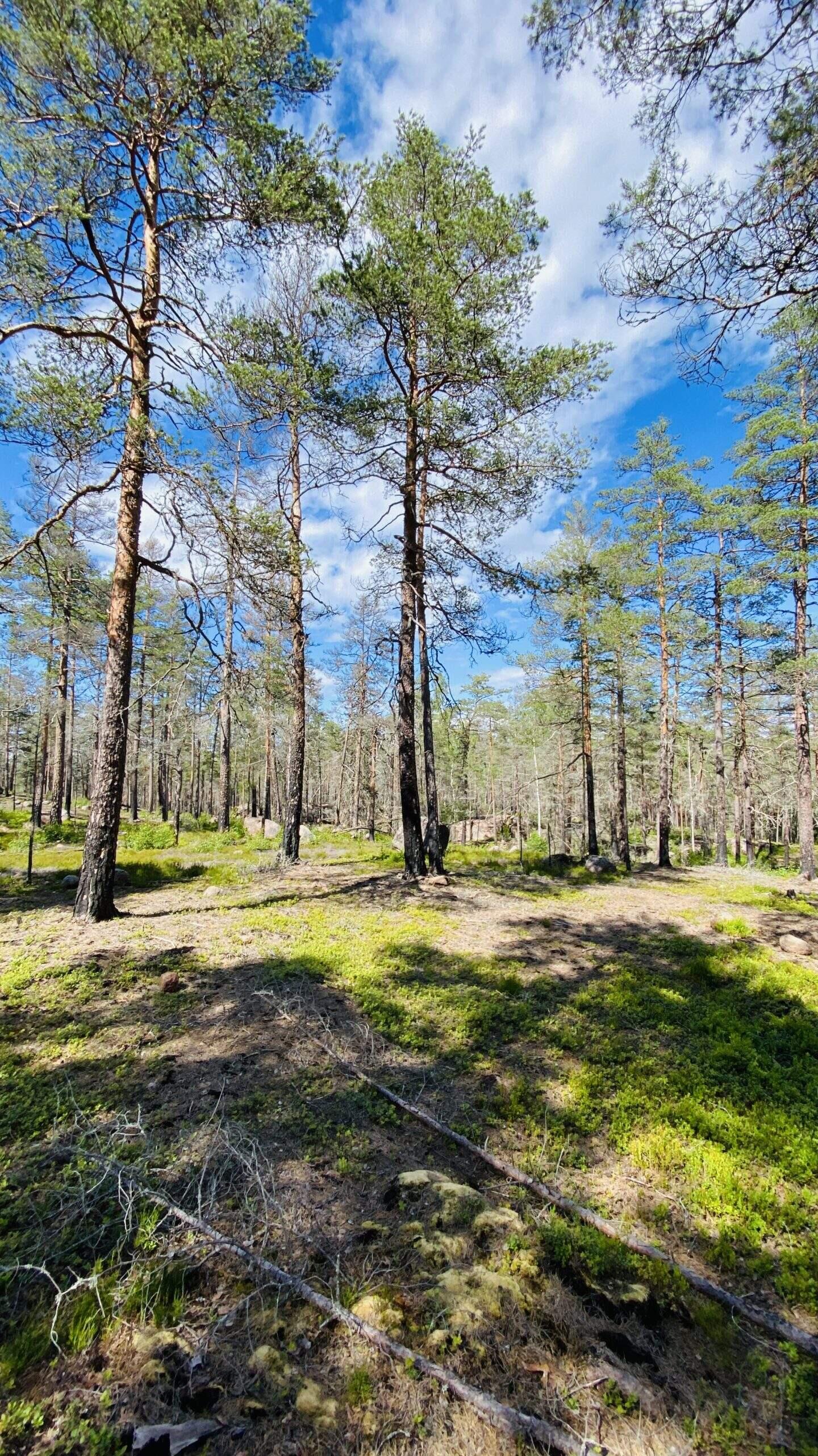 Bild ohne Beschreibung Bild ohne Beschreibung