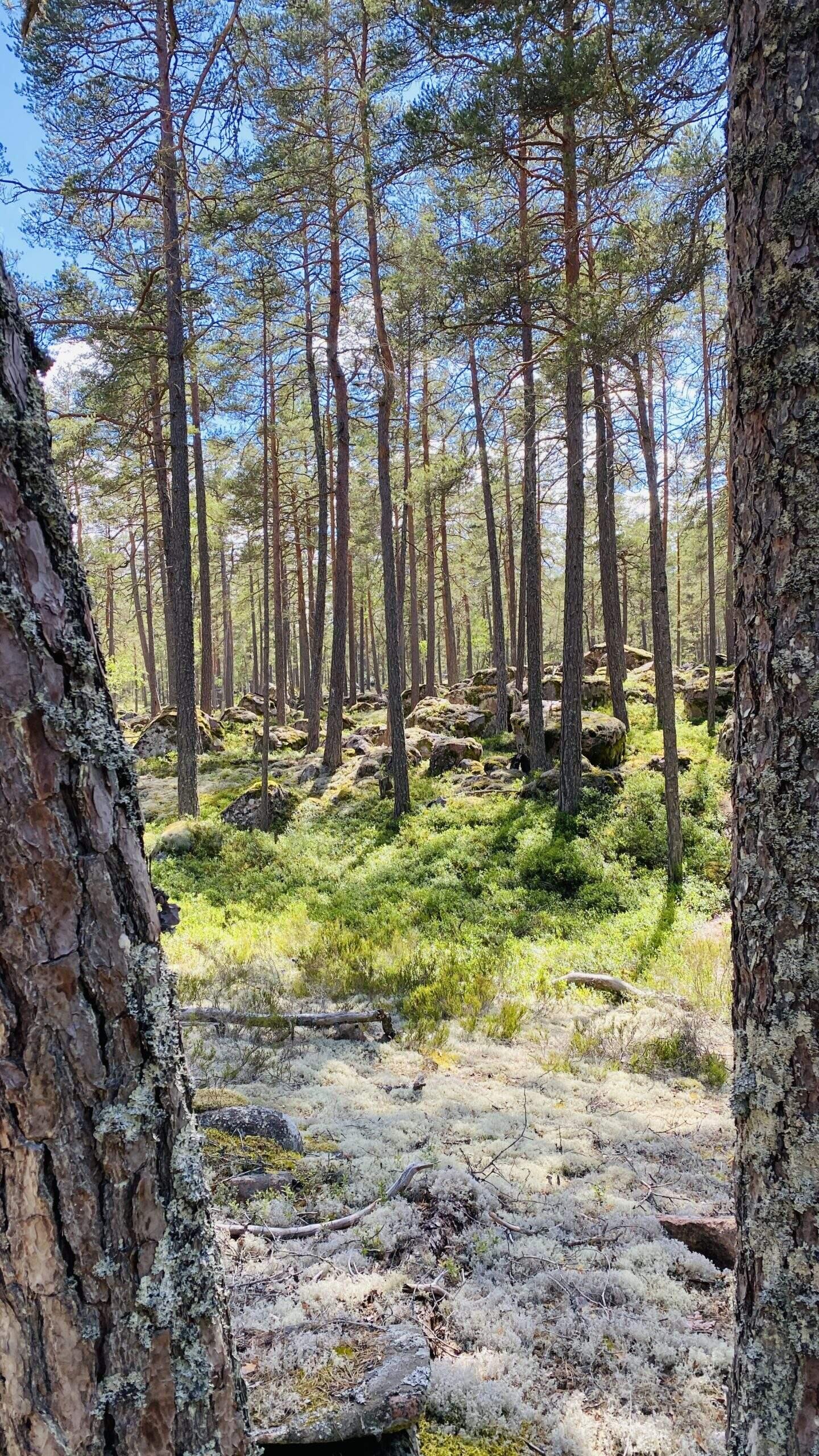 Bild ohne Beschreibung Bild ohne Beschreibung