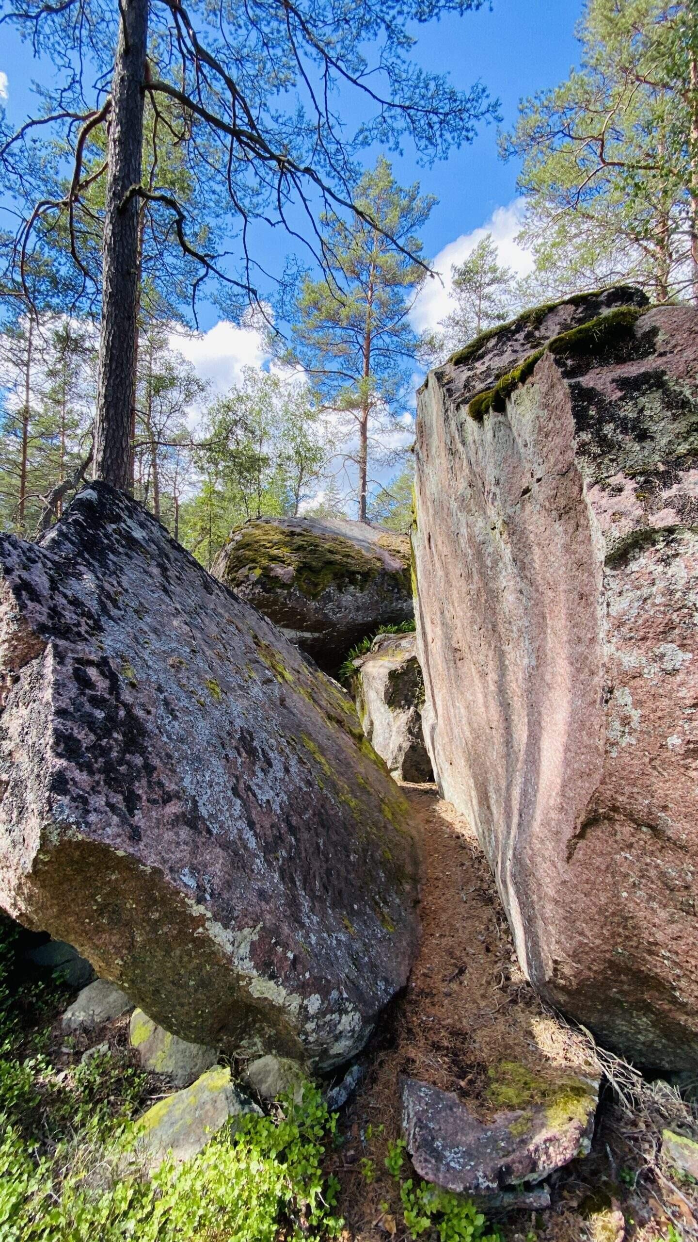 Bild ohne Beschreibung Bild ohne Beschreibung