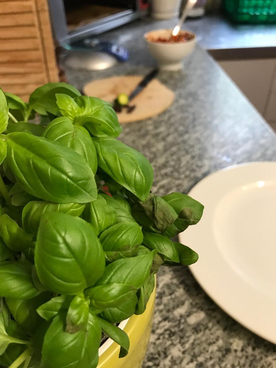 Bild ohne Beschreibung Bild ohne Beschreibung