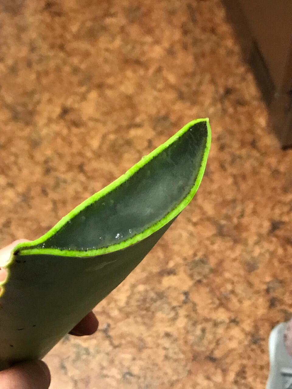 Bild ohne Beschreibung Bild ohne Beschreibung