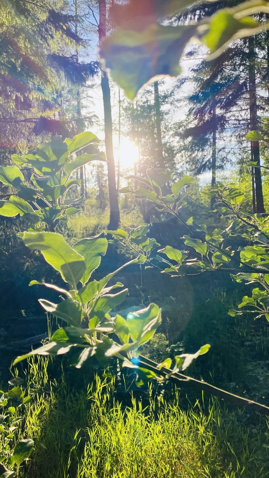 Bild ohne Beschreibung Bild ohne Beschreibung