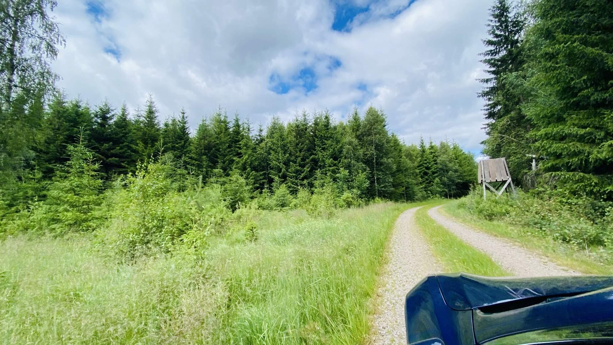 Bild ohne Beschreibung Bild ohne Beschreibung