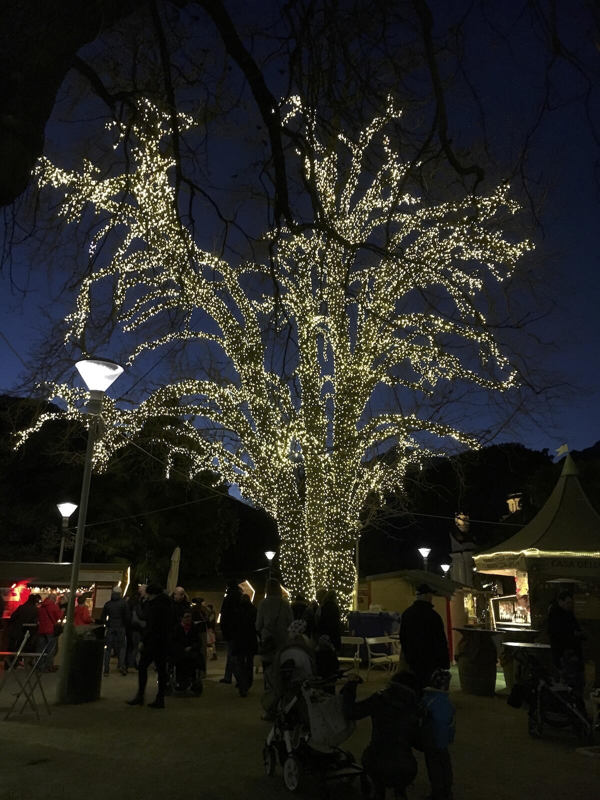 Bild ohne Beschreibung