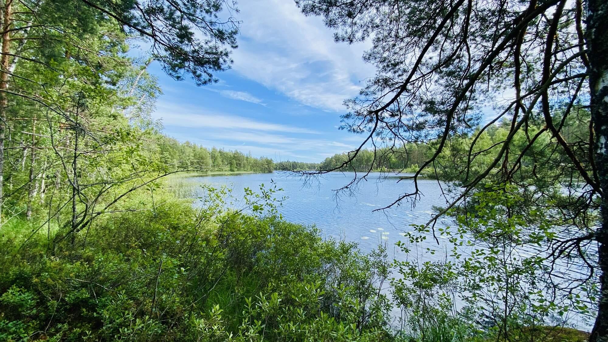 Bild ohne Beschreibung Bild ohne Beschreibung