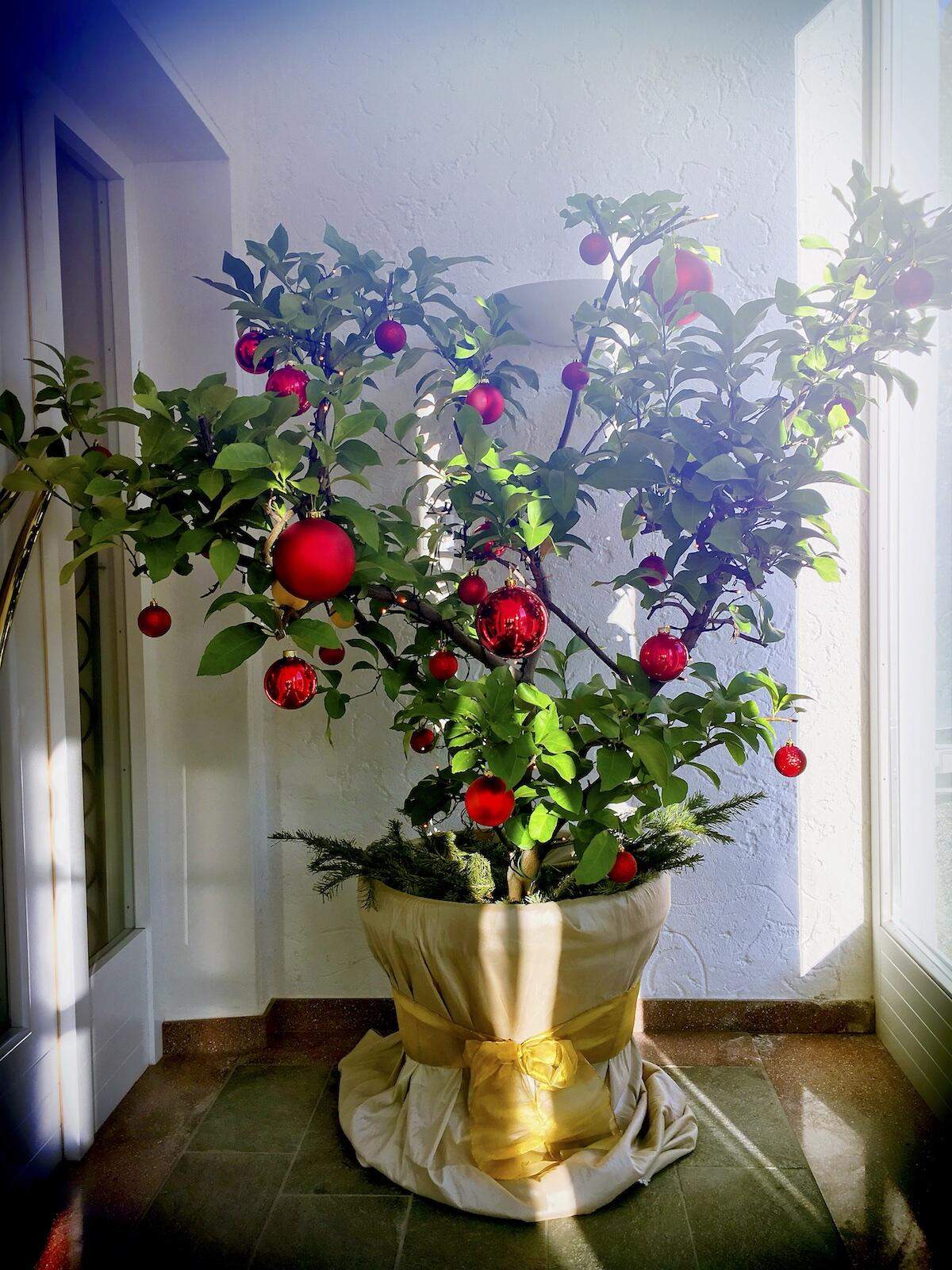 Bild ohne Beschreibung