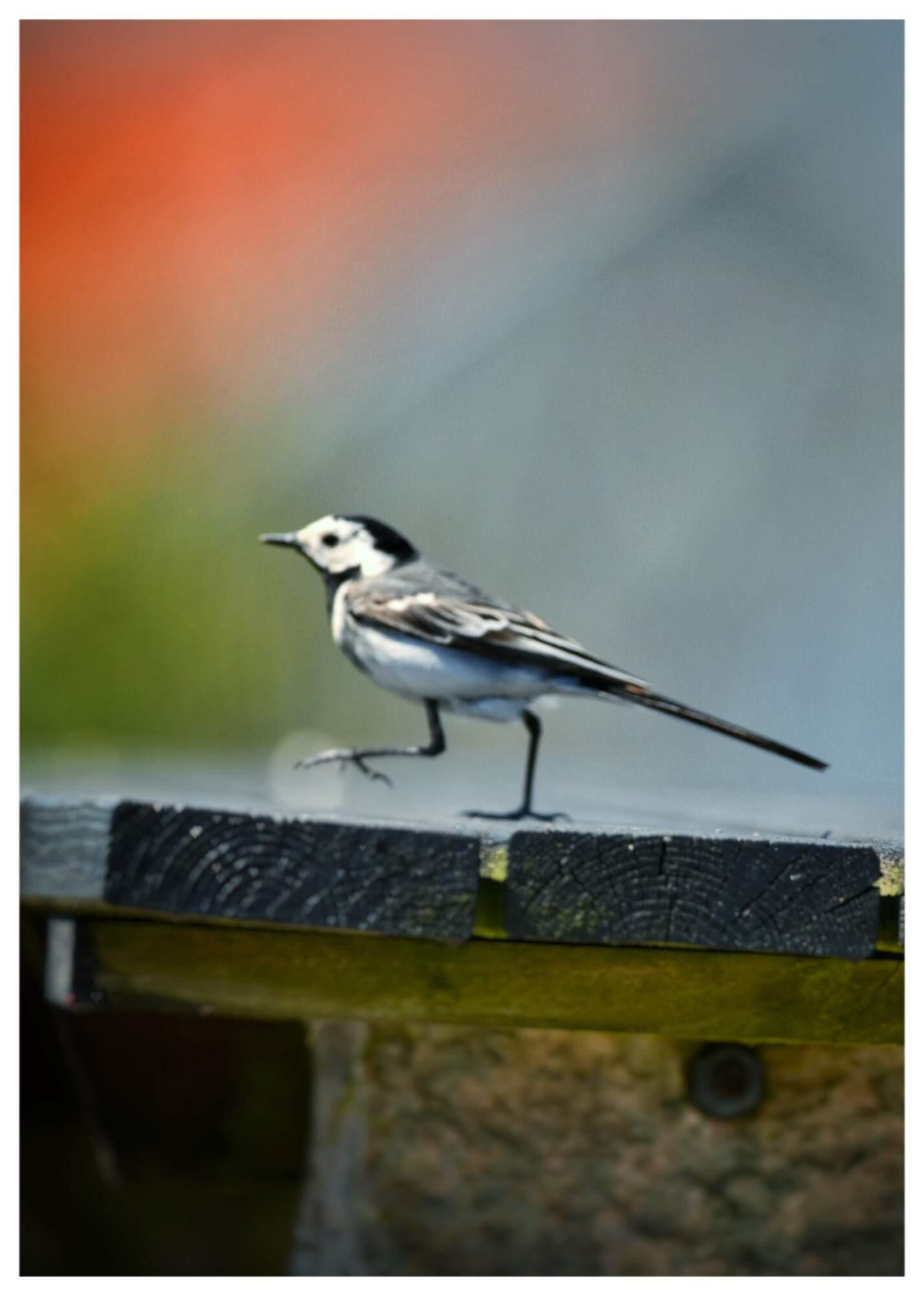 Bild ohne Beschreibung Bild ohne Beschreibung