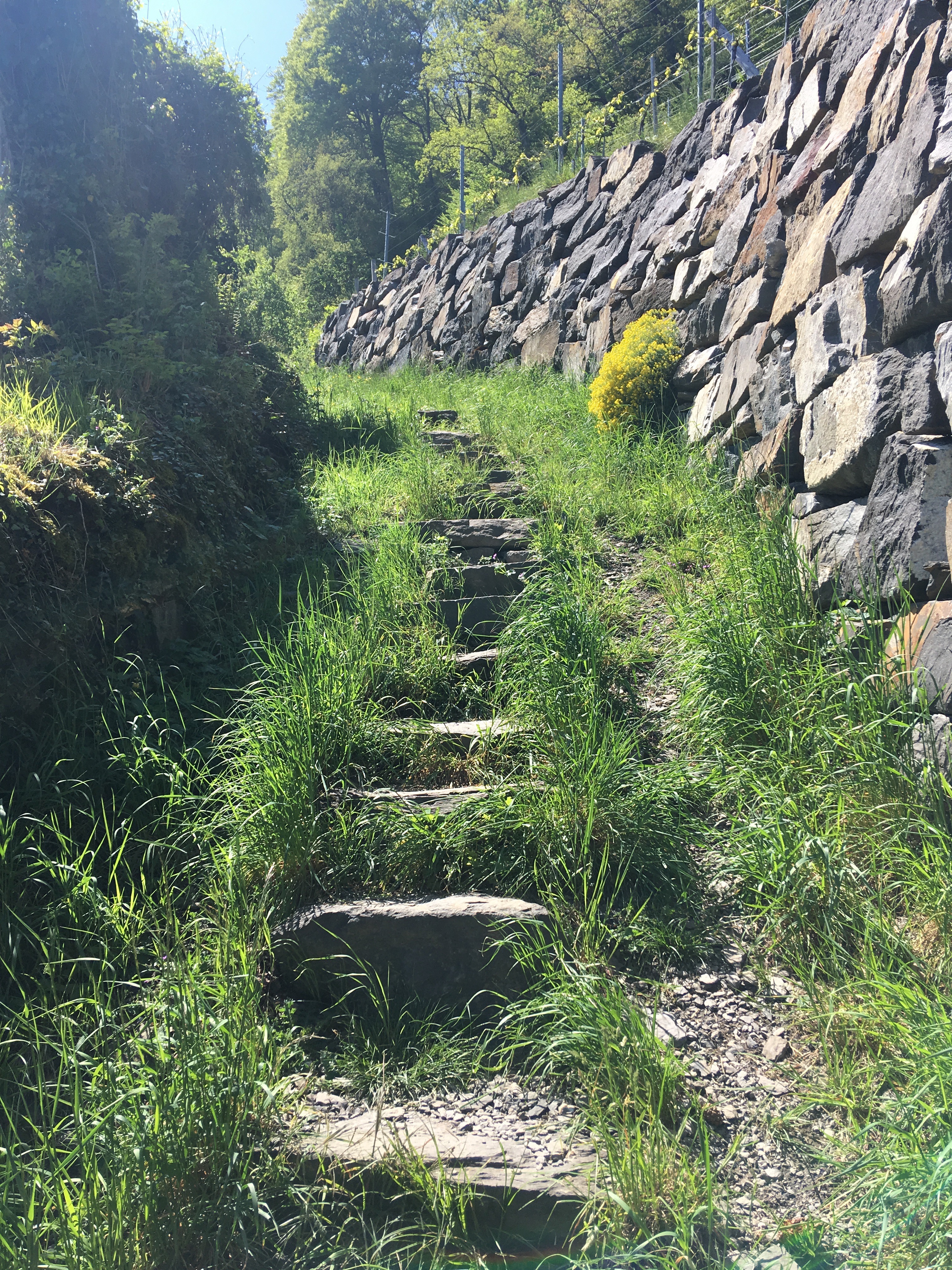 Bild ohne Beschreibung