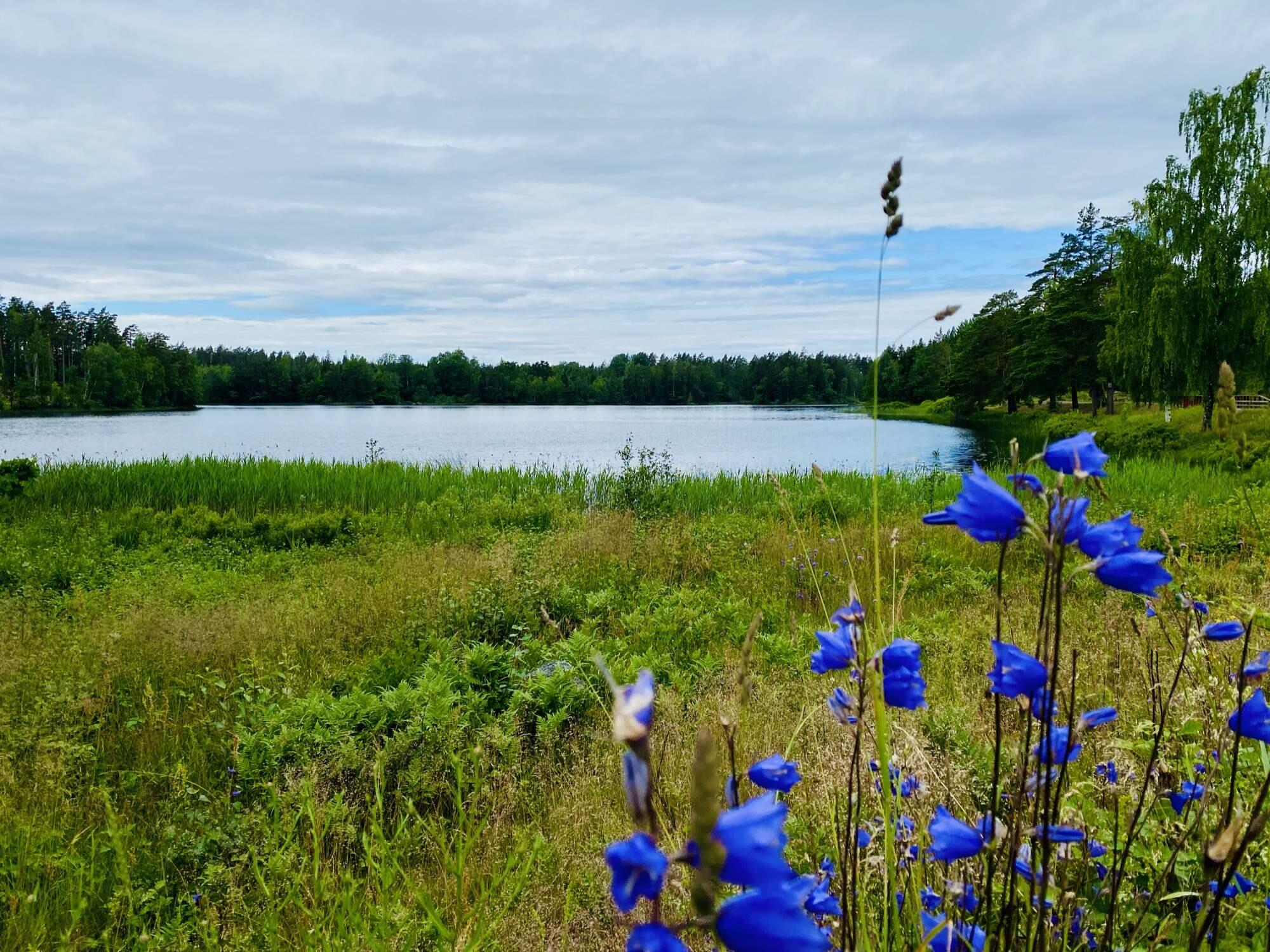 Bild ohne Beschreibung Bild ohne Beschreibung