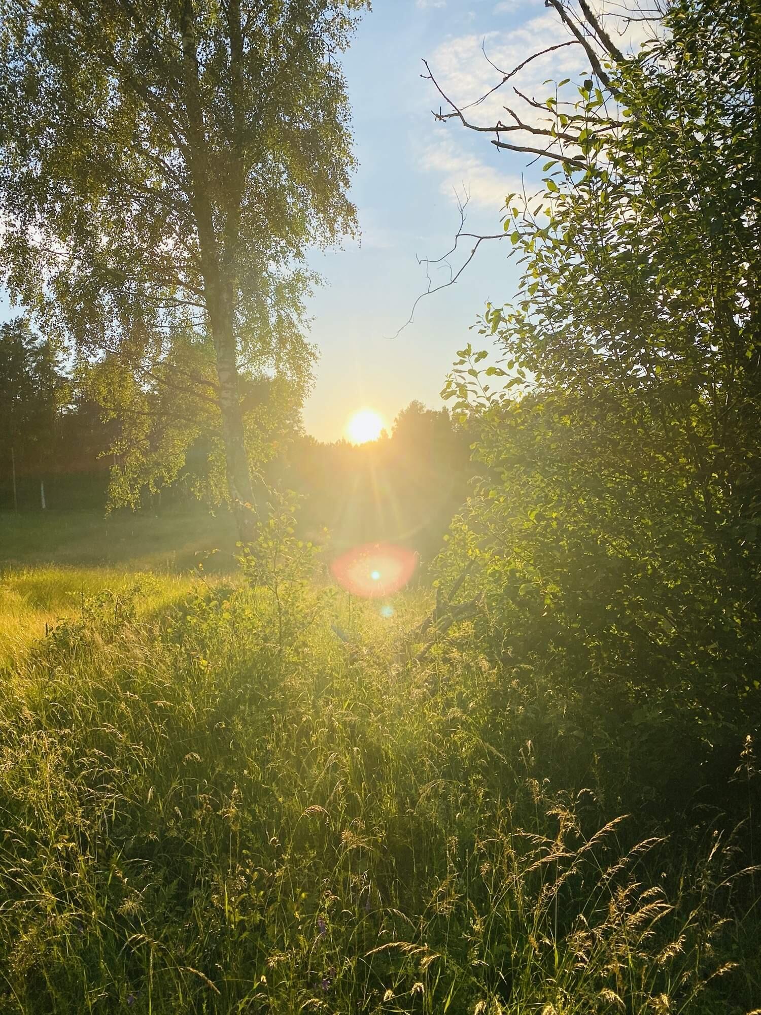 Bild ohne Beschreibung Bild ohne Beschreibung