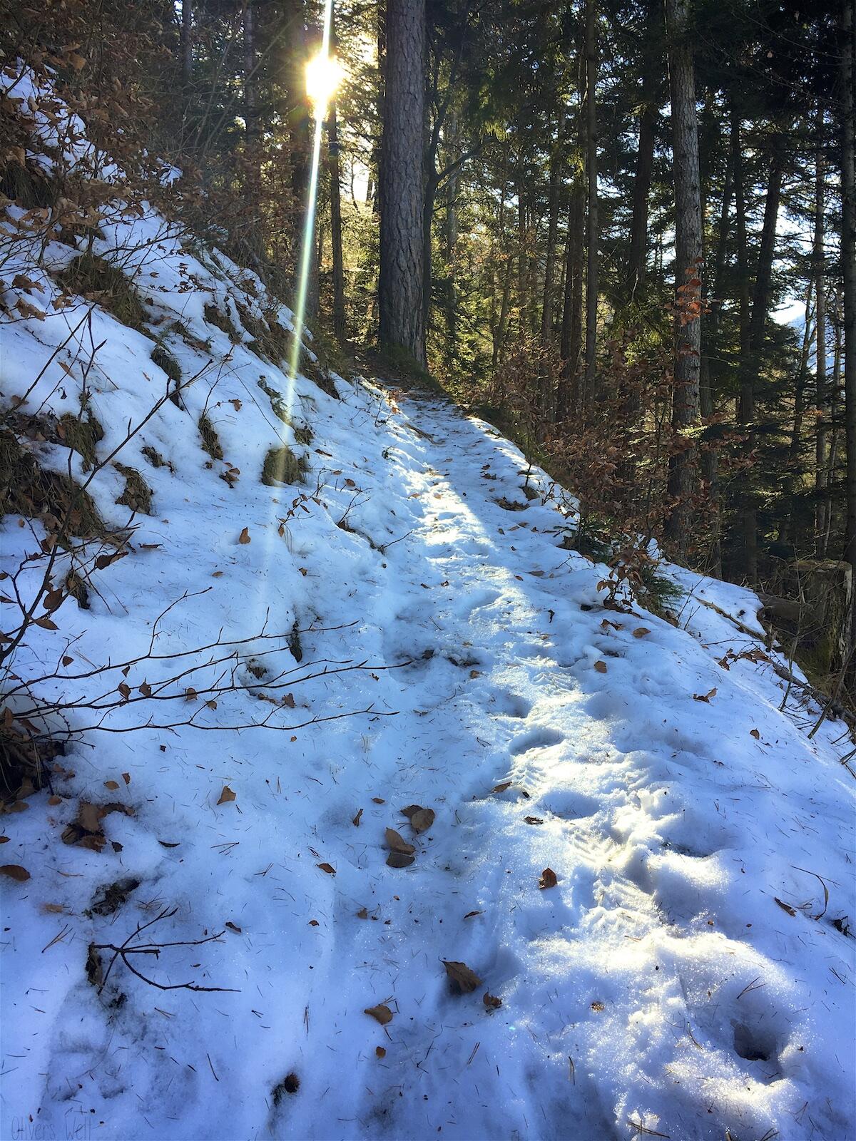 Bild ohne Beschreibung