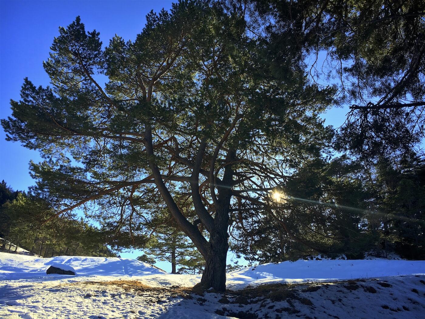 Bild ohne Beschreibung