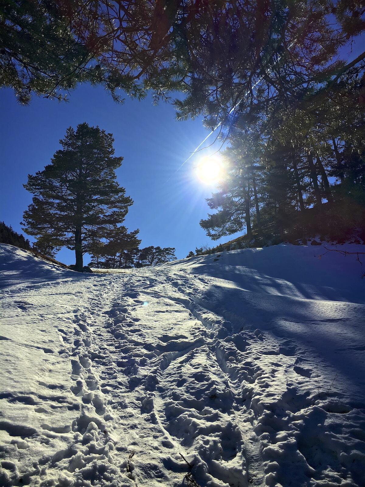 Bild ohne Beschreibung