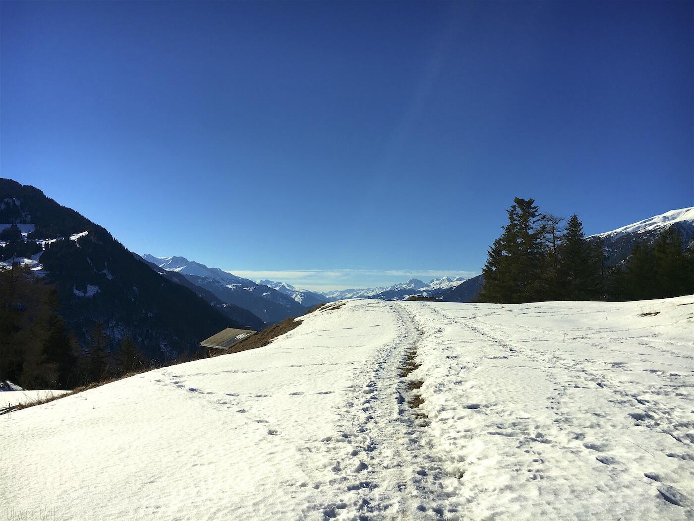 Bild ohne Beschreibung