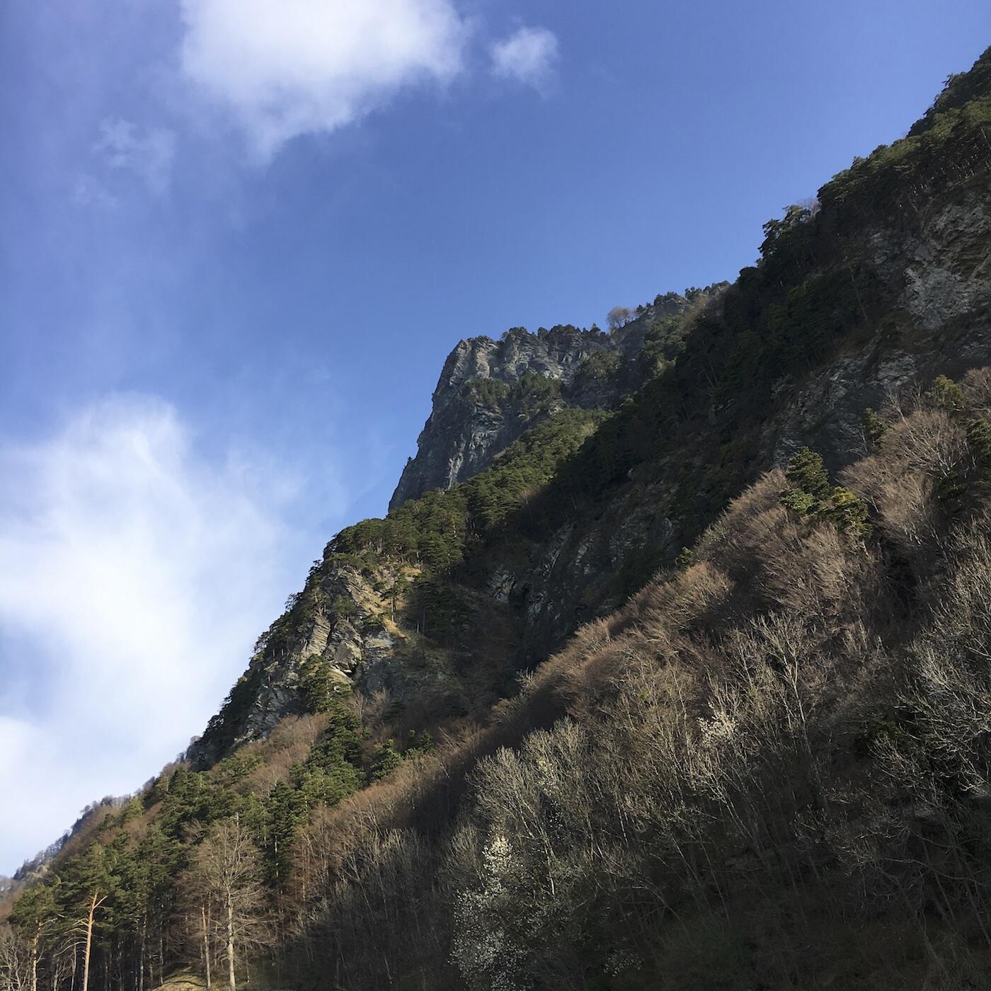 Bild ohne Beschreibung