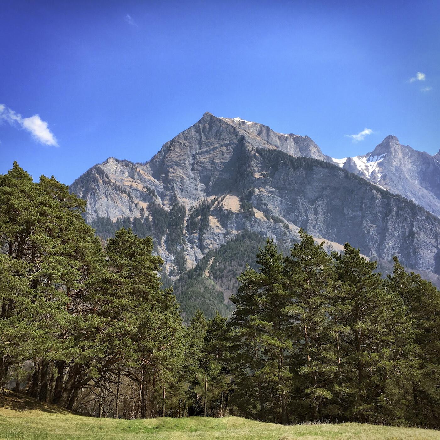 Bild ohne Beschreibung