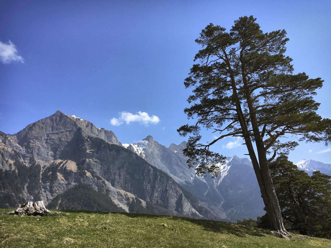 Bild ohne Beschreibung