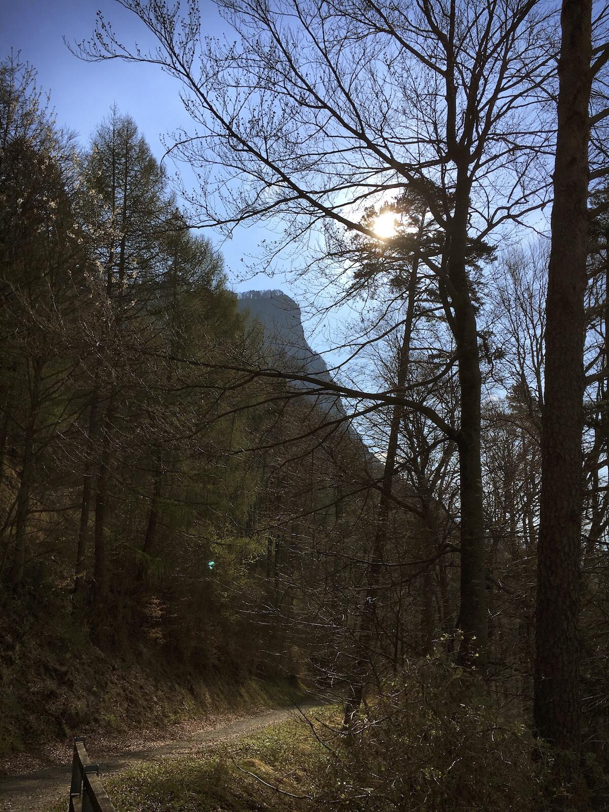 Bild ohne Beschreibung