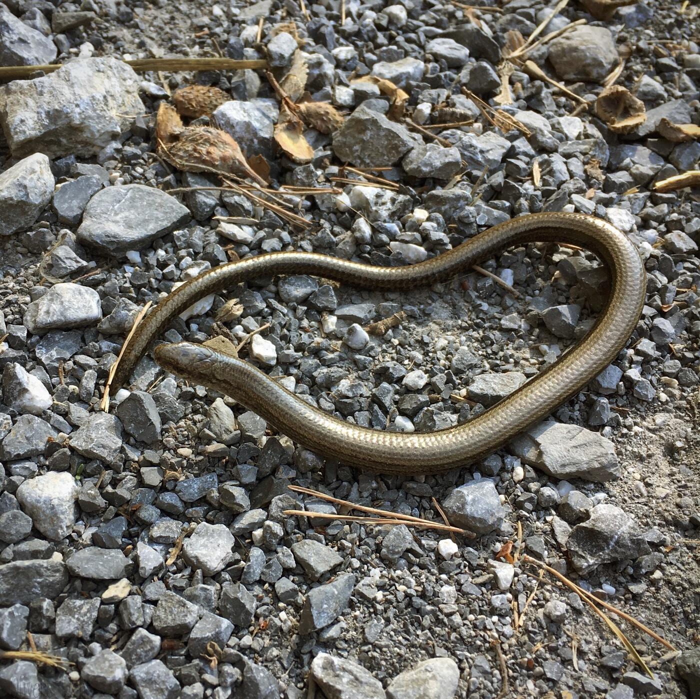 Bild ohne Beschreibung