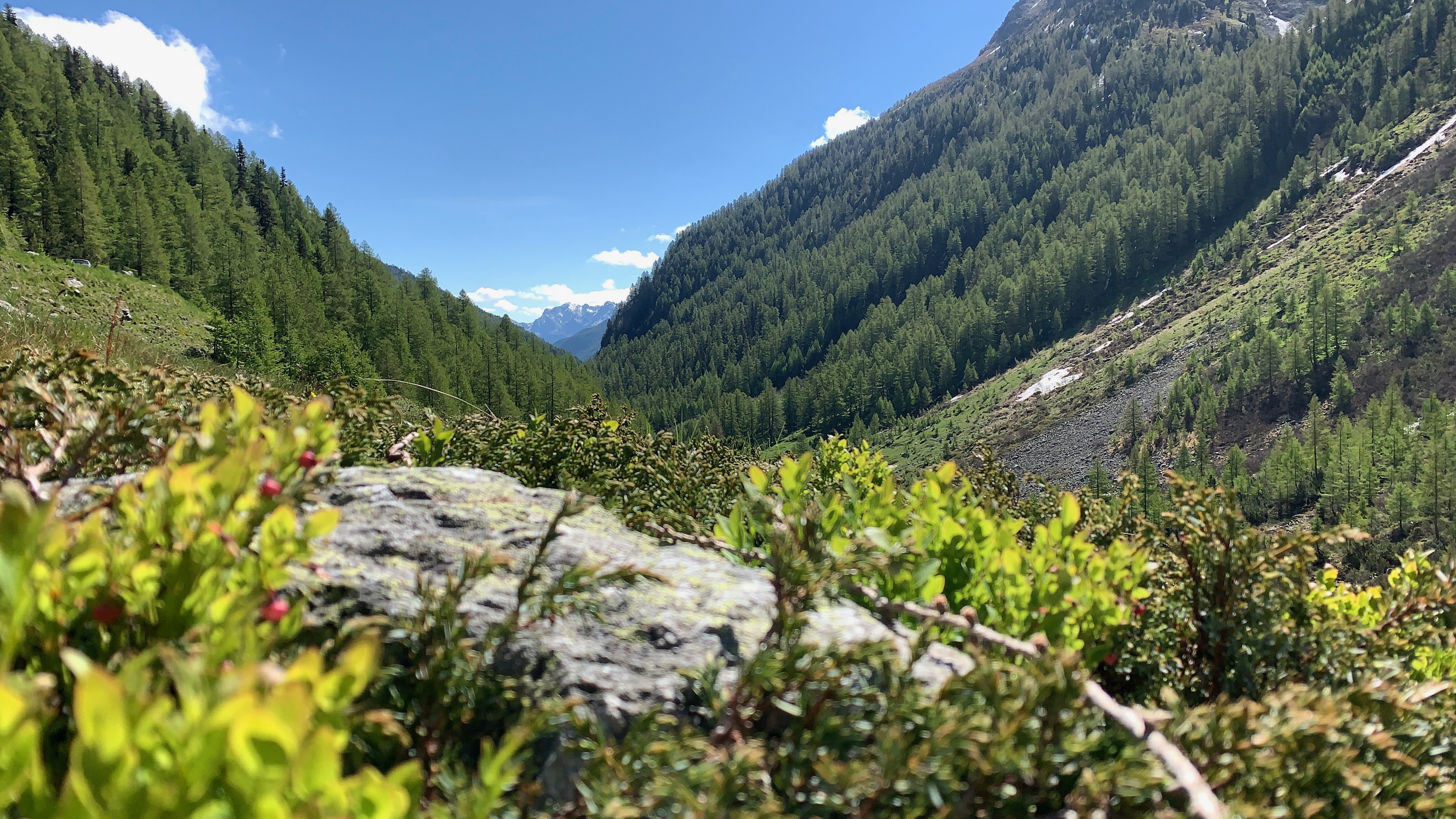 Bild ohne Beschreibung