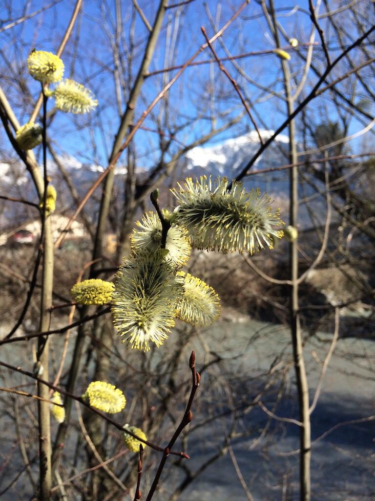 Bild ohne Beschreibung Bild ohne Beschreibung