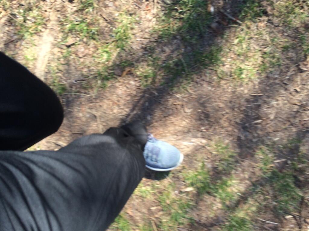 Bild ohne Beschreibung Bild ohne Beschreibung